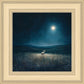 Star of Bethlehem