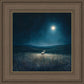 Star of Bethlehem