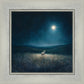 Star of Bethlehem