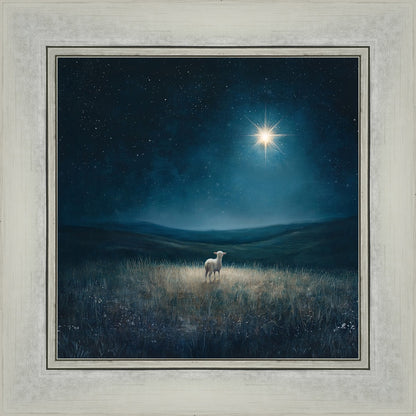 Star of Bethlehem