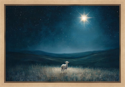 Star of Bethlehem
