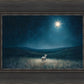 Star of Bethlehem