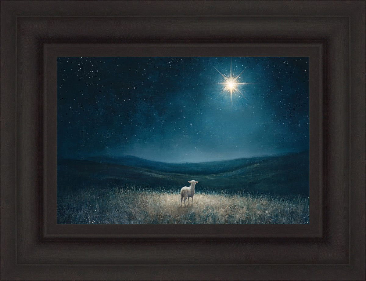 Star of Bethlehem