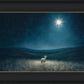 Star of Bethlehem