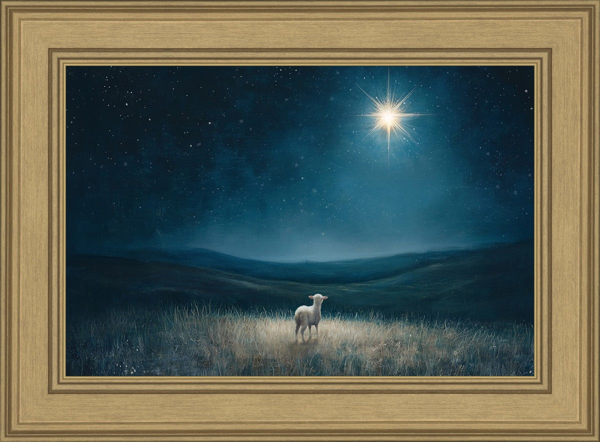 Star of Bethlehem