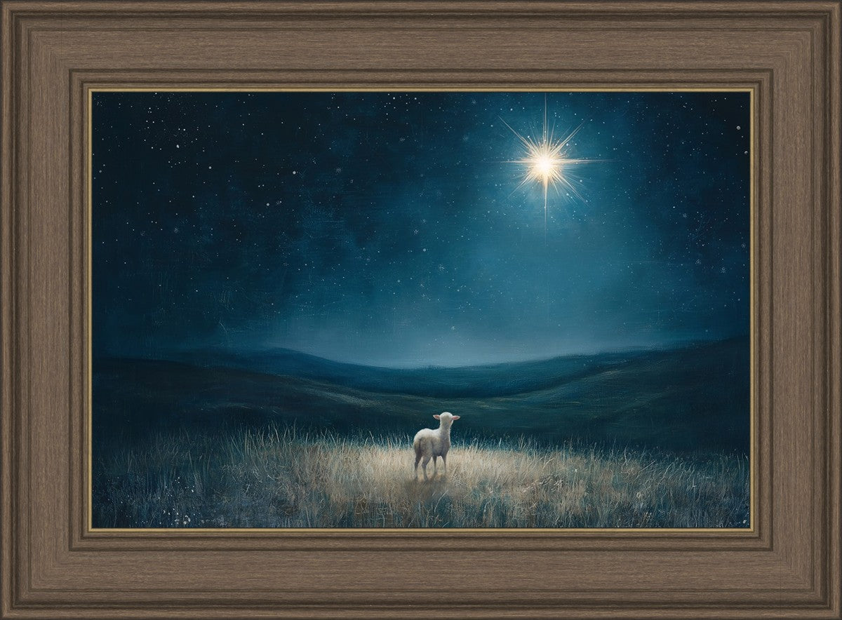 Star of Bethlehem
