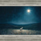 Star of Bethlehem