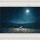 Star of Bethlehem