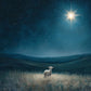 Star of Bethlehem