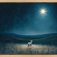 Star of Bethlehem
