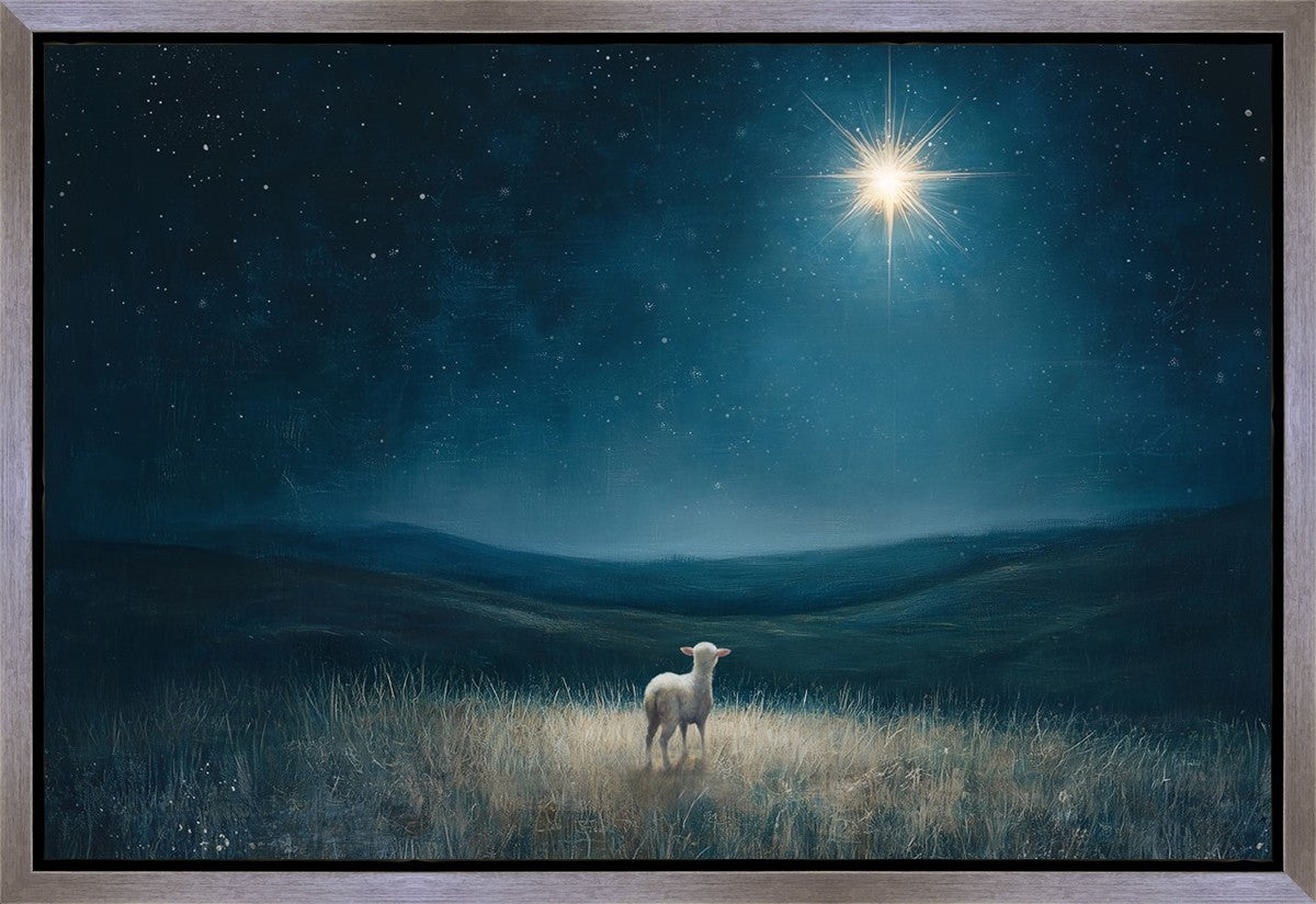 Star of Bethlehem Gallery Wrap