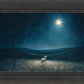 Star of Bethlehem