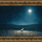 Star of Bethlehem
