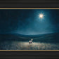 Star of Bethlehem