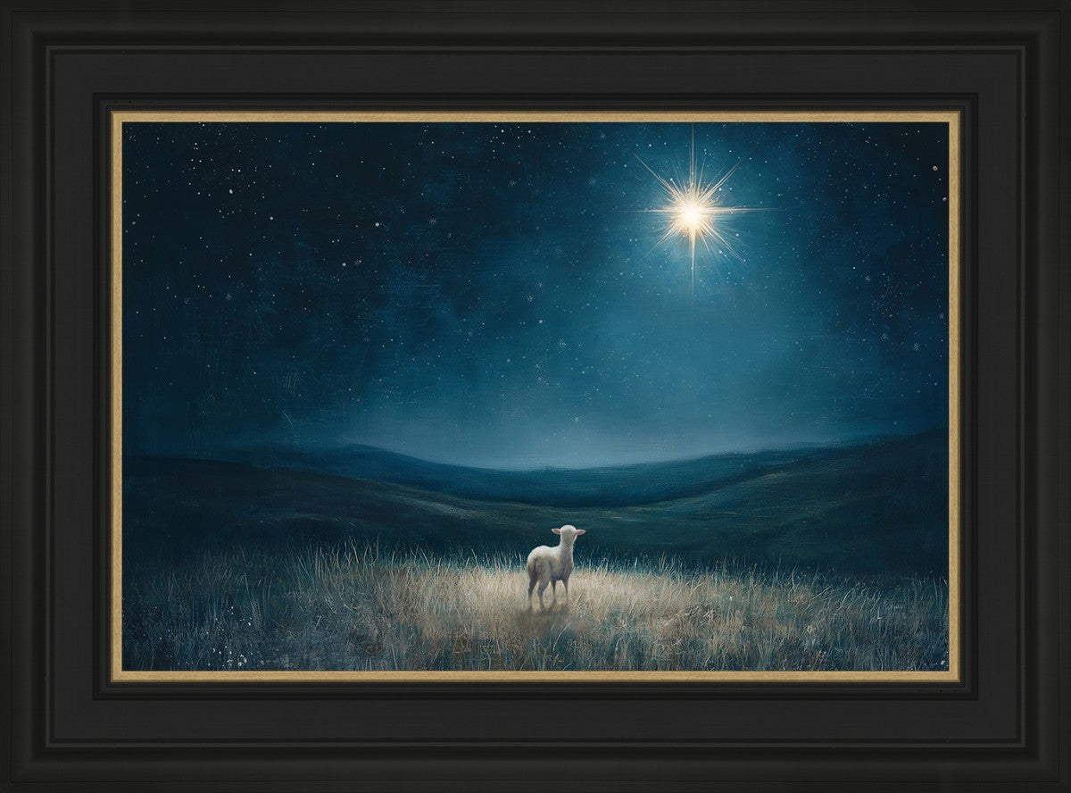 Star of Bethlehem