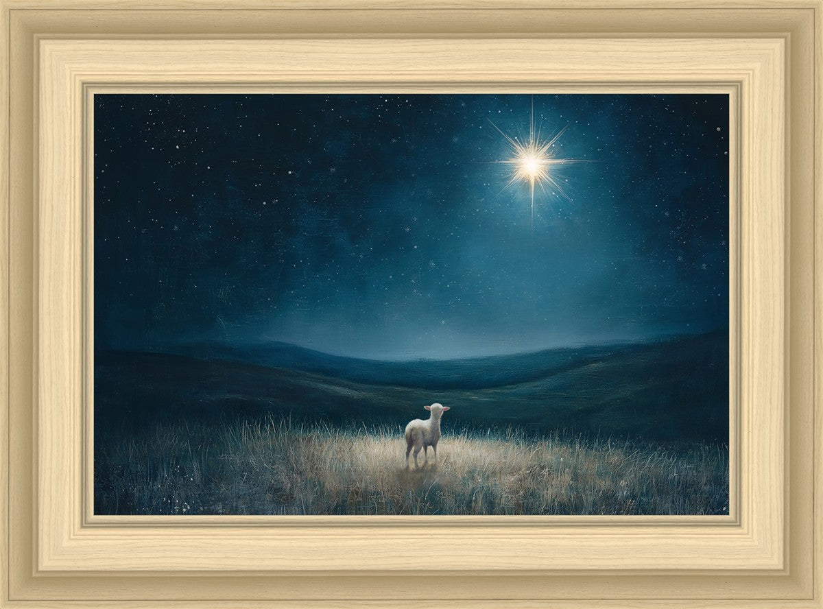 Star of Bethlehem
