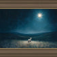 Star of Bethlehem
