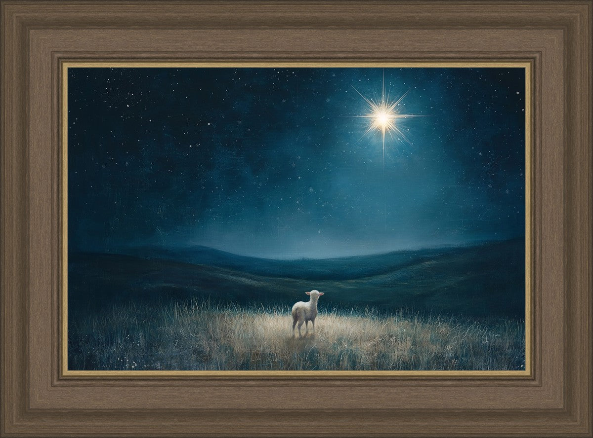 Star of Bethlehem