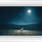Star of Bethlehem