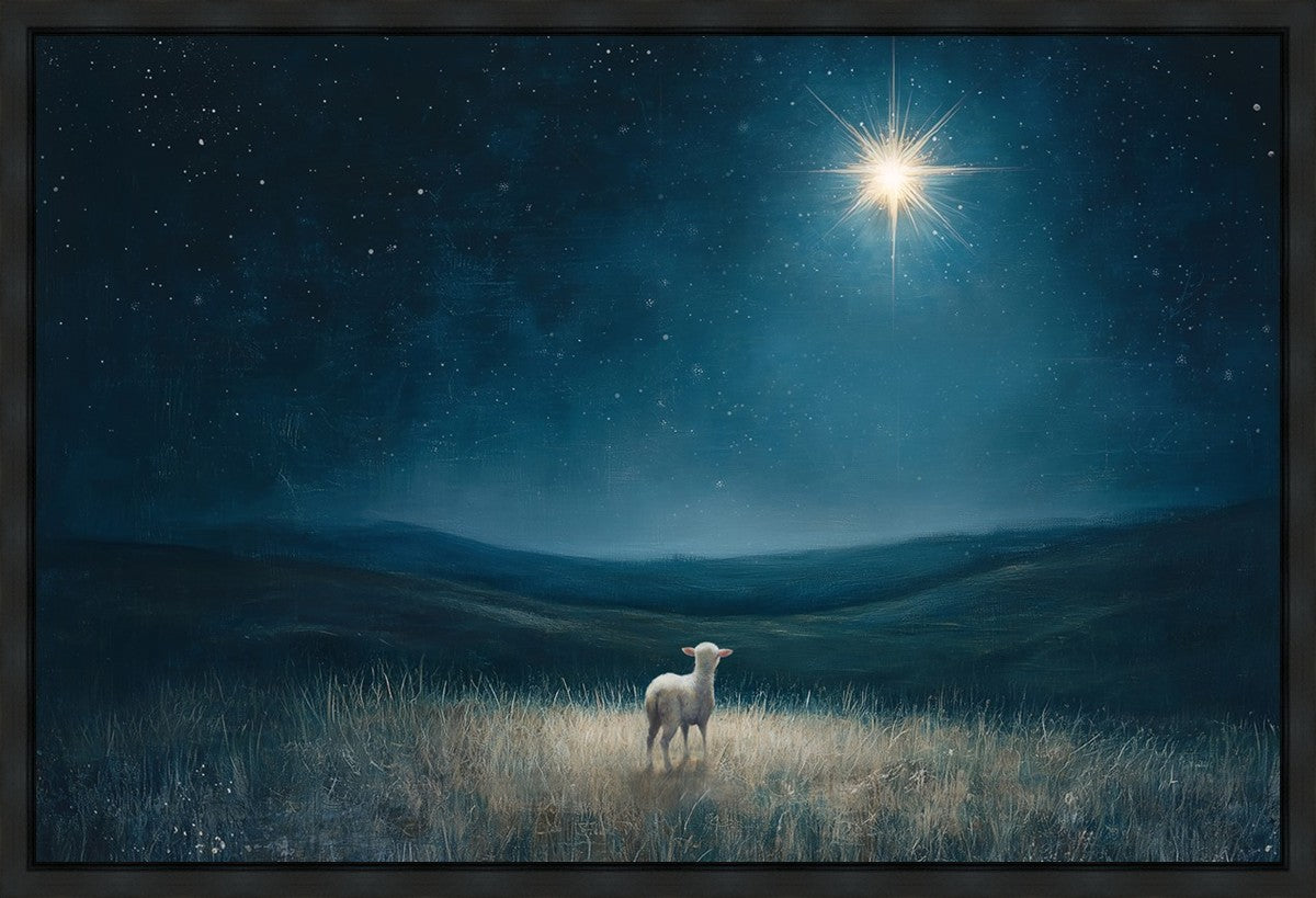 Star of Bethlehem Gallery Wrap