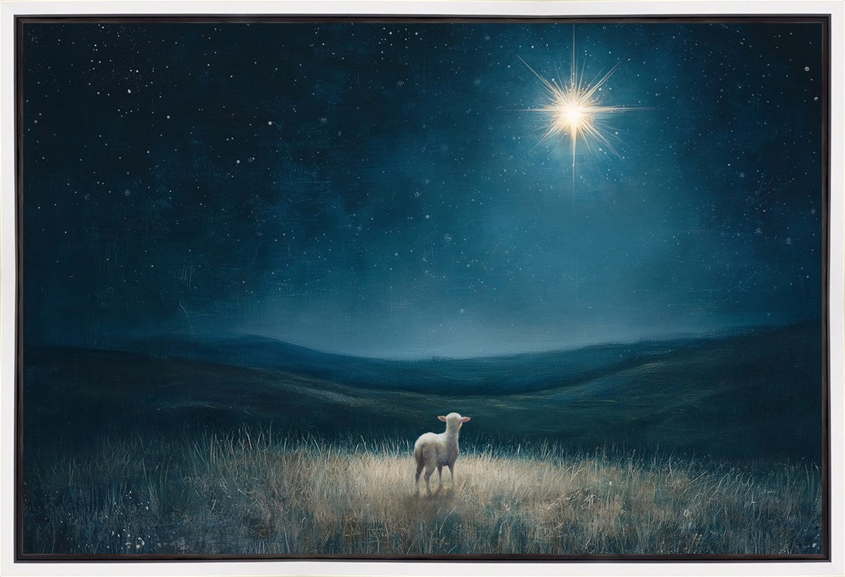 Star of Bethlehem Gallery Wrap