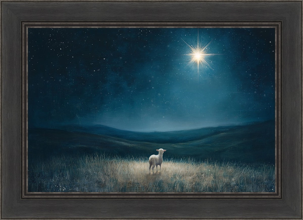 Star of Bethlehem