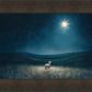 Star of Bethlehem