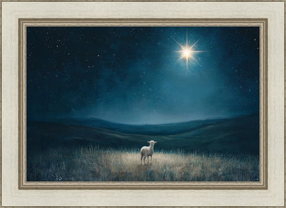 Star of Bethlehem