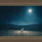 Star of Bethlehem