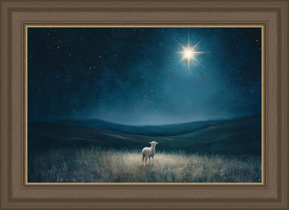 Star of Bethlehem