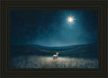 Star of Bethlehem