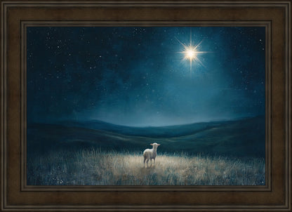 Star of Bethlehem