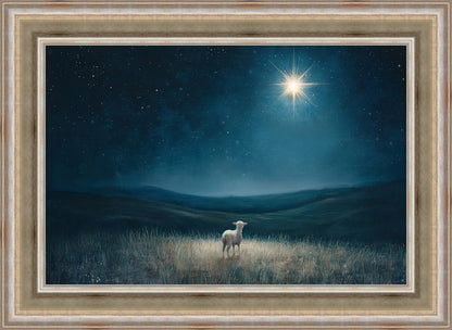 Star of Bethlehem