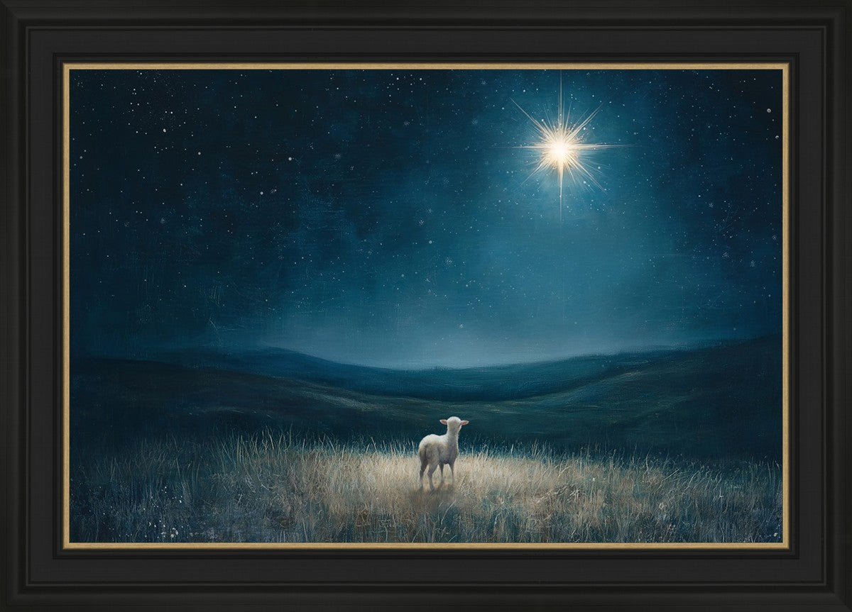 Star of Bethlehem