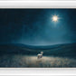 Star of Bethlehem