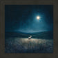 Star of Bethlehem