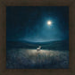 Star of Bethlehem