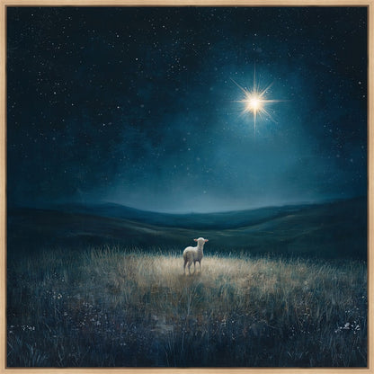 Star of Bethlehem