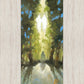 Pillar of Light