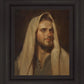 Beloved Son