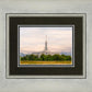 Mt. Timpanogos Utah Temple A Celestial House