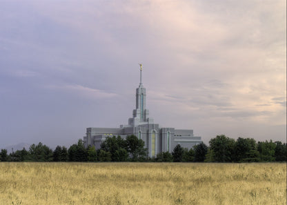 Mt. Timpanogos Utah Temple House of Worship