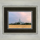 Mt. Timpanogos Utah Temple House of Worship
