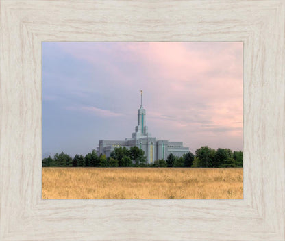Mt. Timpanogos Utah Temple House of Worship