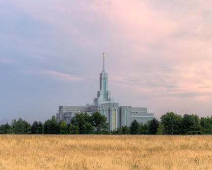 Mt. Timpanogos Utah Temple House of Worship Gallery Wrap