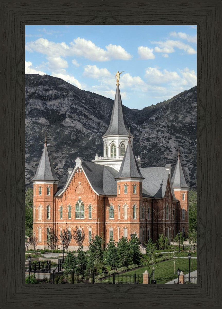 Provo City Center Utah Temple Y Mountain Portrait
