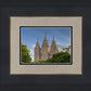 Salt Lake City Utah Temple In His Light