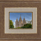Salt Lake City Utah Temple In His Light