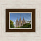 Salt Lake City Utah Temple In His Light