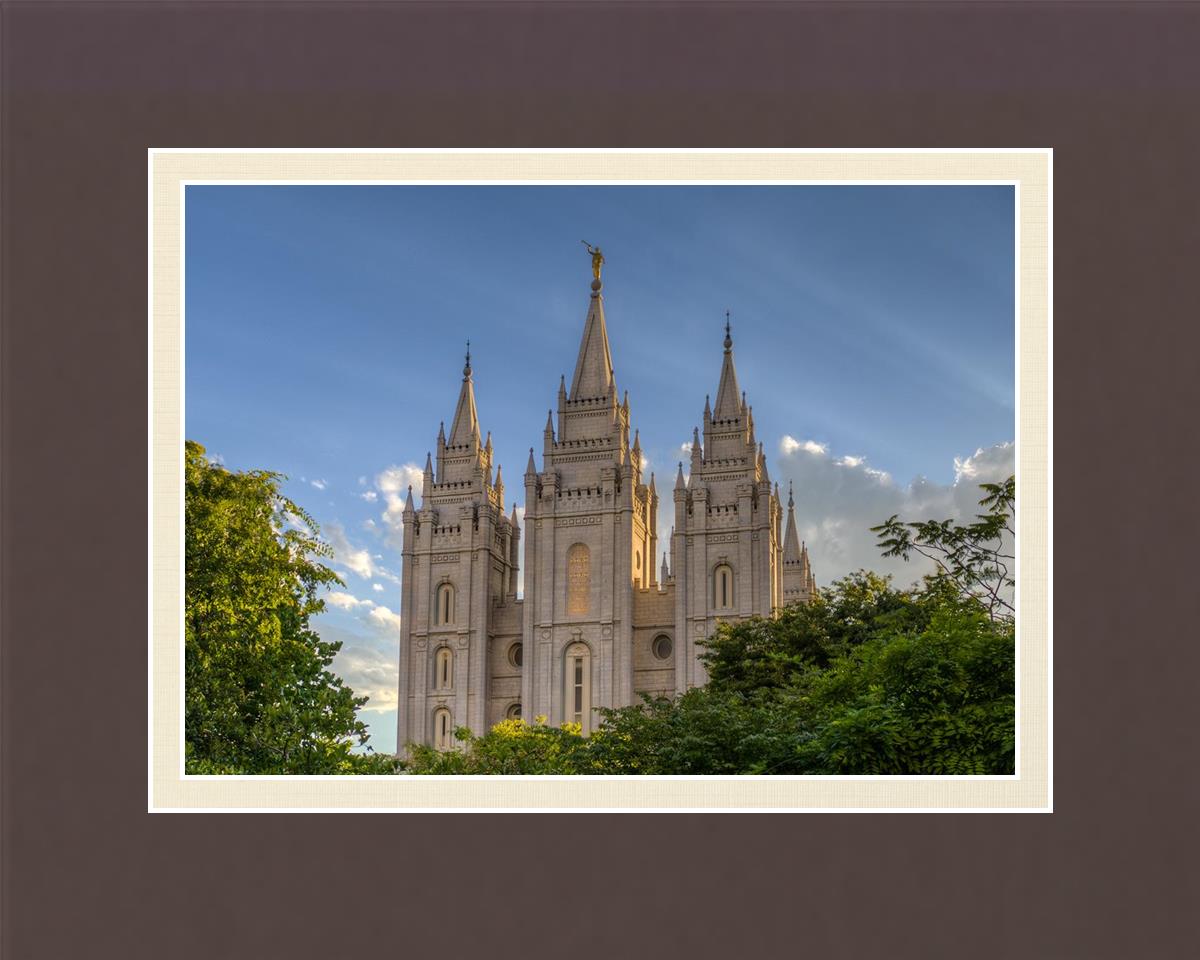 Salt Lake City Utah Temple In His Light